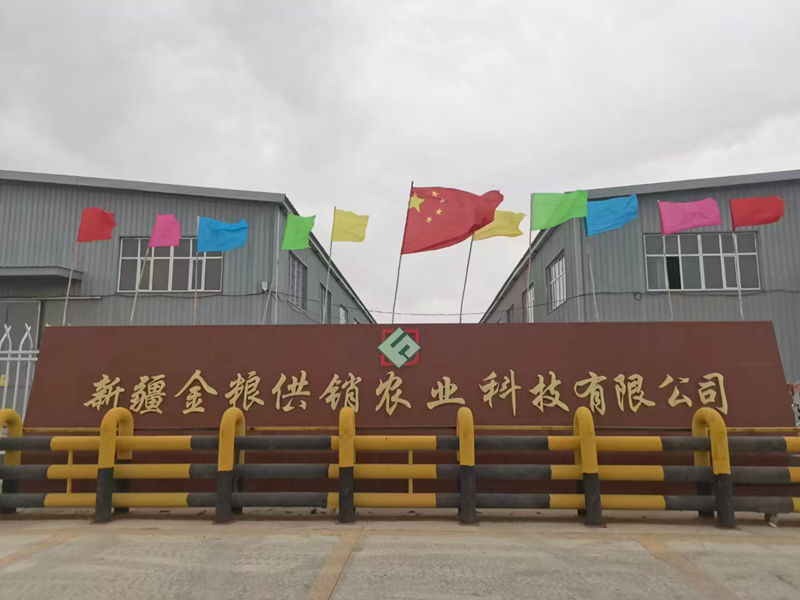 成功案例